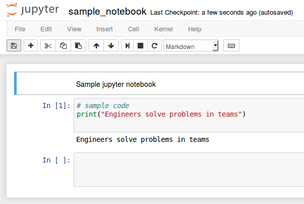 example jupyter notebook
