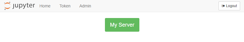 start my server