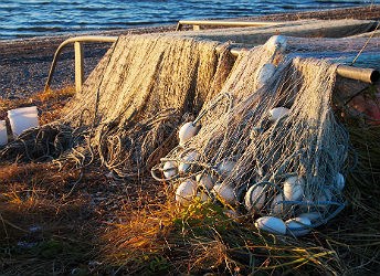 fishing net